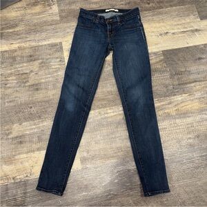 J BRAND Jeans Size 25 Low Rise Skinny Jeans